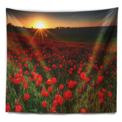 Coucher de soleil sur le jardin avec tapisserie de coquelicots rouges