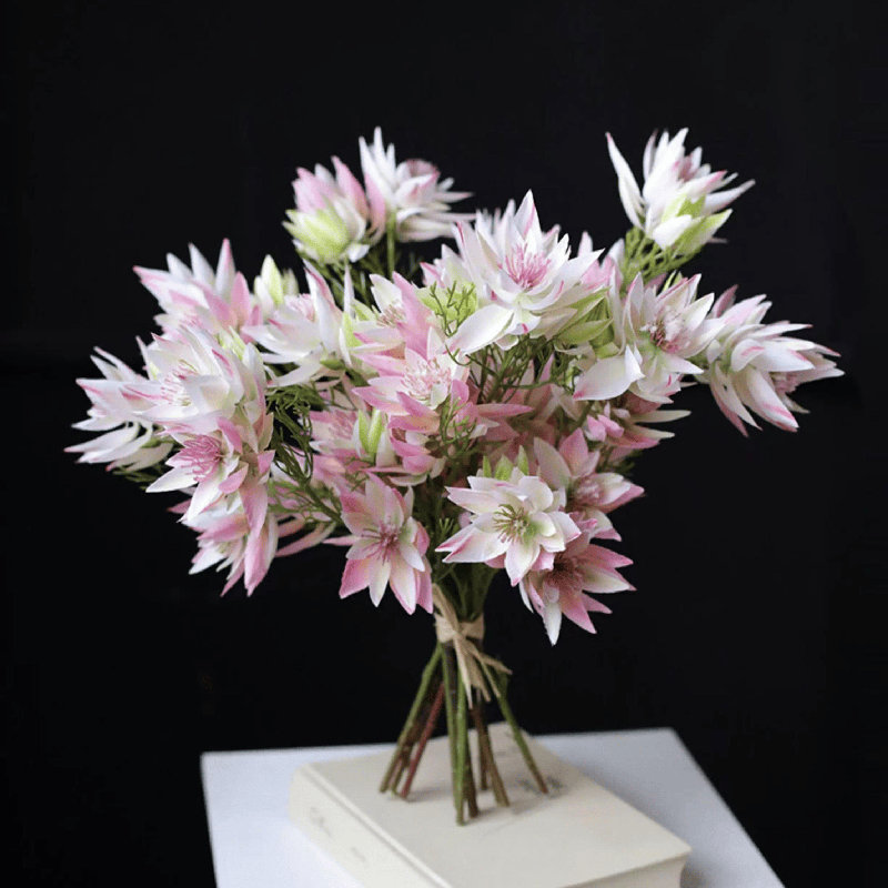 Blush Star Bloom - 27 po, Rosé doux, [C] 6 Stems