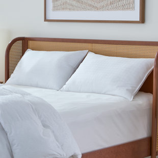 Down Alternative Medium Pillow (Set of 2)