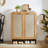 Rattan Shoe Cabinet with Doors-366274888