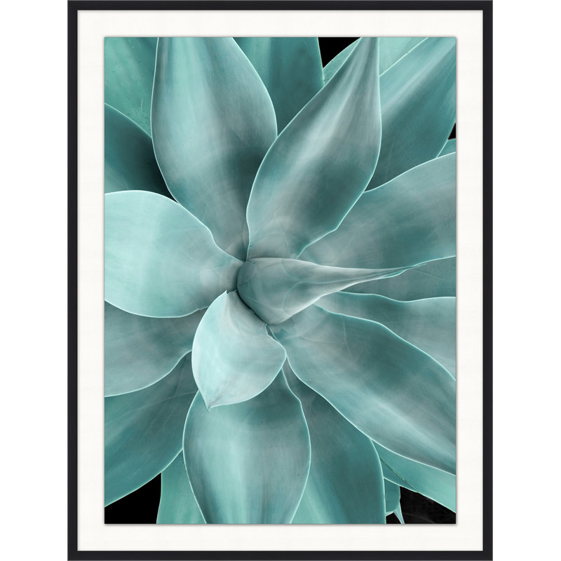 Bold Agave 2 Framed Photographic Print