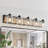 5-lamp matte black glass adjustable iron Vanity Light
