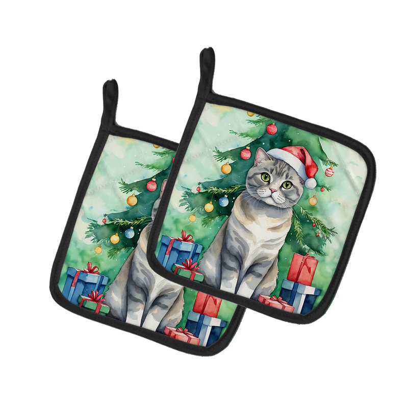 Paire de porte-pots Scottish Fold