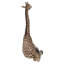 Bébé girafe allongée