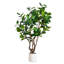 6 pi Arbre à fleurs artificiel Audrey Ficus