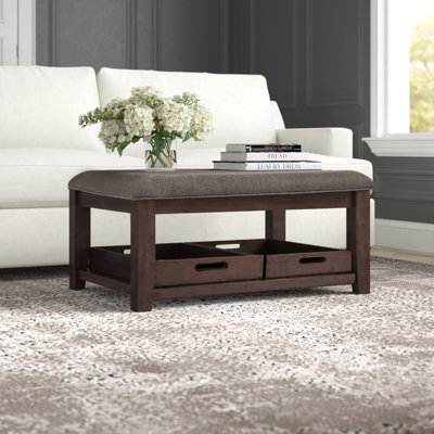 Chattooga Coffee Table with Storage by Greyleigh