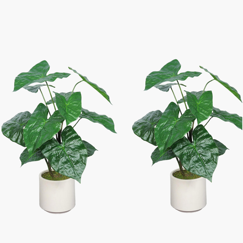 30 po Alocasia artificielle avec pot blanc (ensemble de 2), plante artificielle tropicale réaliste pour la décoration intérieure, le salon, la chambre à coucher et le bureau