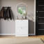 2 Drawer Shoe Cabinet with Top Modern Shoe Storage For Hallway Living Room & Bedroom-85515780