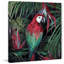Perroquet de la jungle - reproduction sur toile-26601124