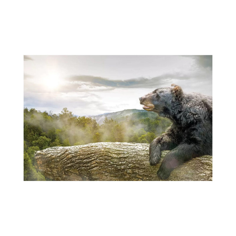 Bear In Tree At Smoky Mountains Park by Susan Schmitz - Print on Canvas, Wrapped Canvas, 20.32 cm H x 30.48 cm W