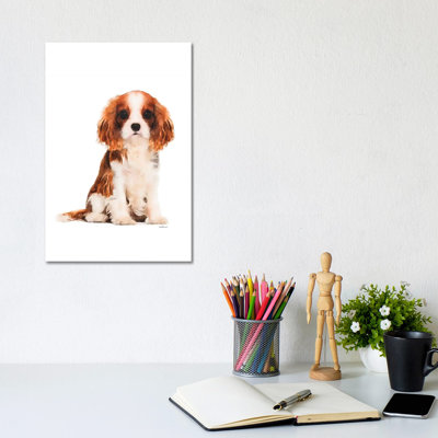 King Charles Spaniel by Amanda Greenwood - Wrapped Canvas Painting