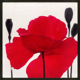 Red Poppy 2 Print by Ivo Stoyanov