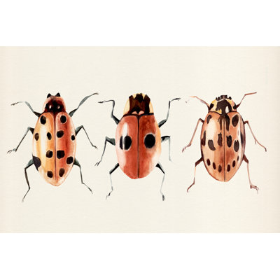 Ladybug Display II - Wrapped Canvas Painting