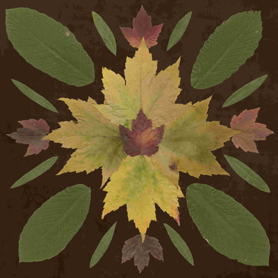 " Kaleidoscope Leaves IV " by Vision Studio