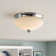 Reichert Glass Flush Mount