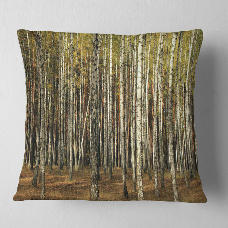Coussin Green Forest, 16 po x 1 po, Carré
