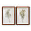 «Farmhouse Pressed Flower I», ensemble de 2 impressions-1472801477-1472801472
