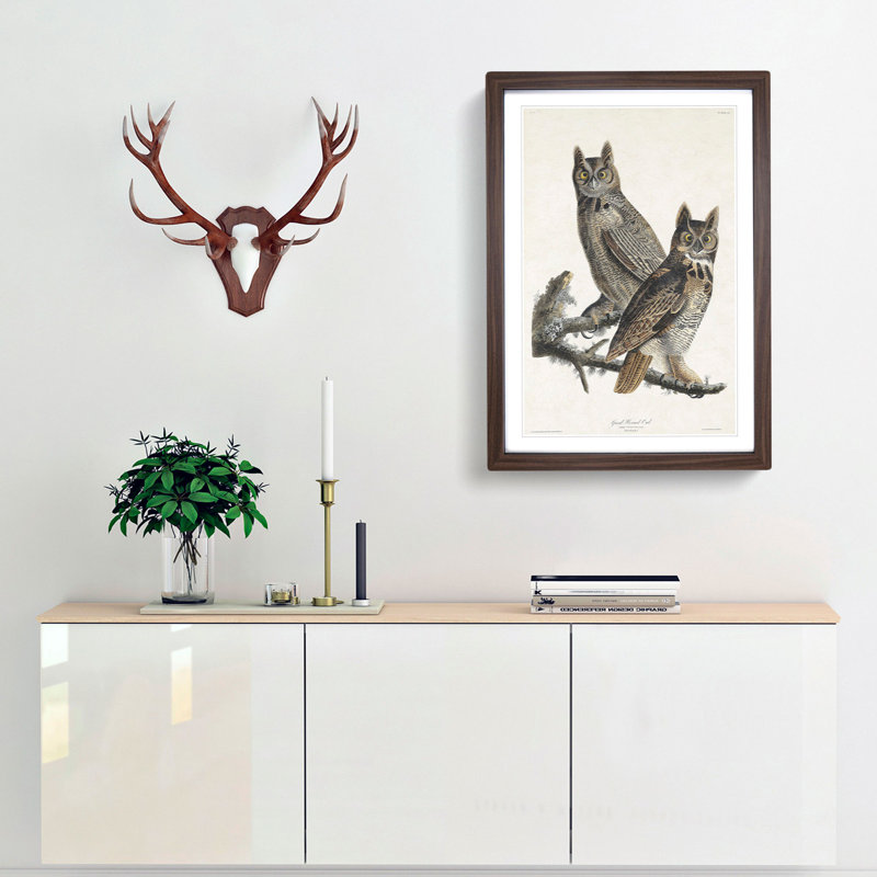 Great Horned Owls by John Audubon - Picture Frame Painting Print, 48cm H x 36cm W x 2cm D, Walnut Framed