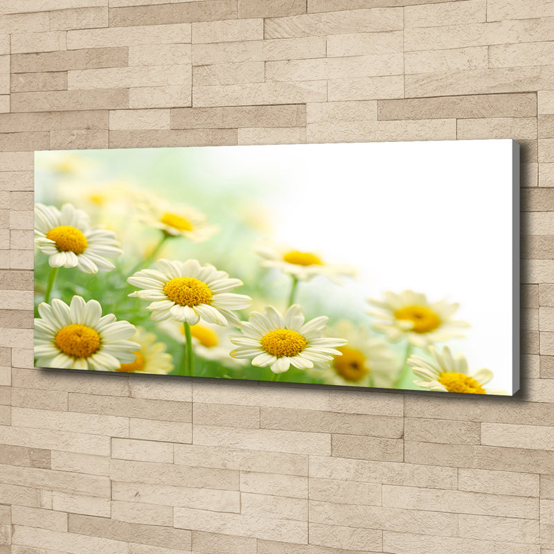 Daisies - No Frame Print on Canvas