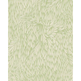 Animal Print Wallpaper Double Roll