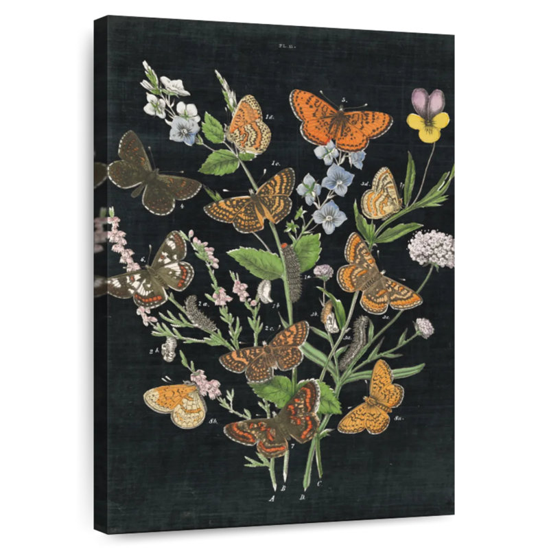 Bouquet de papillons Brampt sur fond noir I, H 36 po x l 24 po