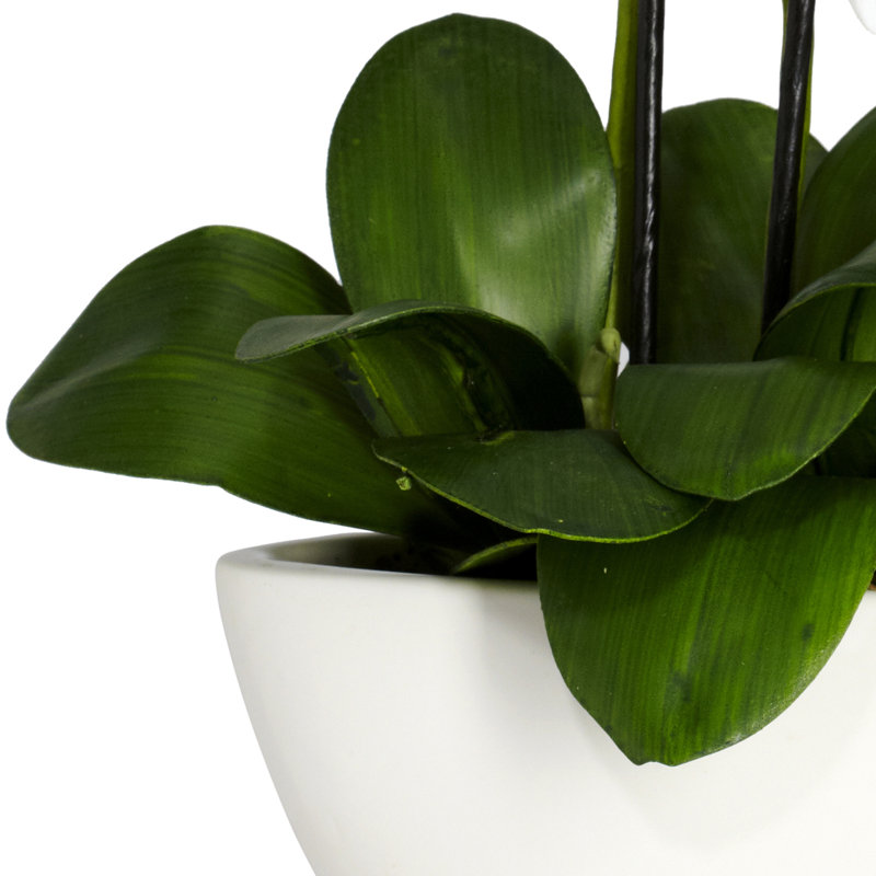  Phalaenopsis Silk Flower Arrangement