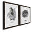 B&W d'intérieur plante I - ensemble de 2 reproductions de dessins-728781680-728781694