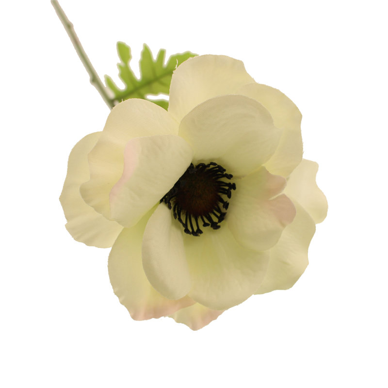 Faux Silk Anemone Arrangement, Cream