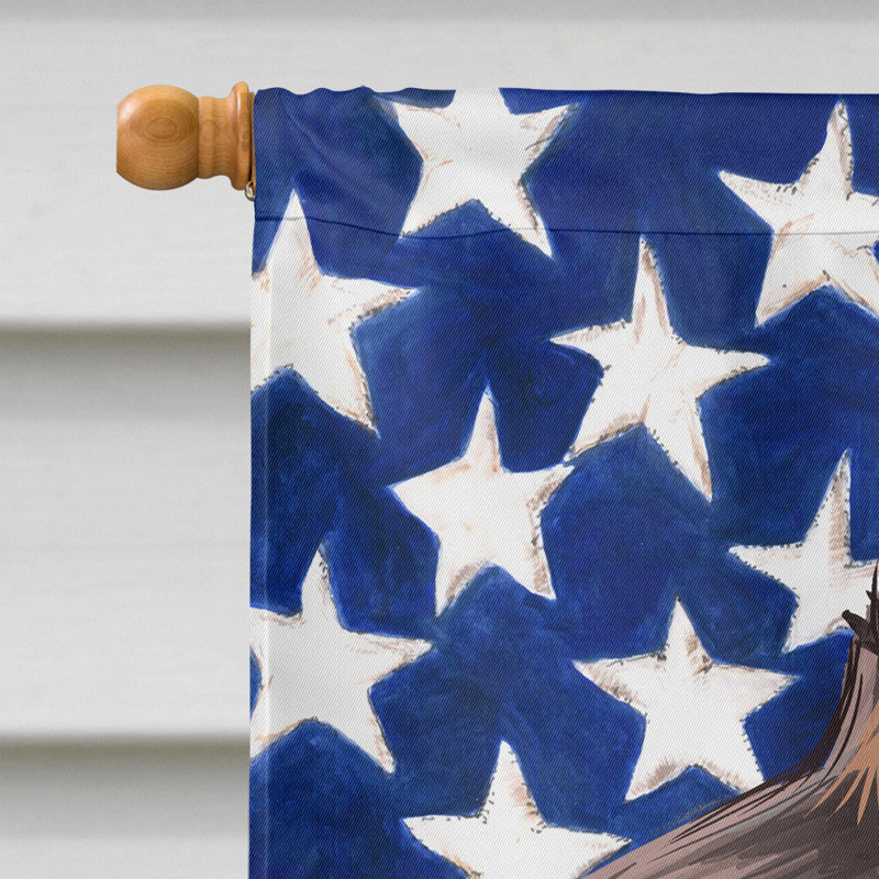 Polyester à 2 côtés 28 x 40 po drapeau maison, Petit épagneul de Münster