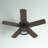 Absolom 52'' Ceiling Fan with Light Kit-514581769