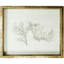 Sealife Print