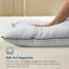 Oreillers en duvet d'oie 100% coton biologique-1835365664