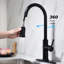 Robinet de cuisine extractible à jet - Acier inoxydable noir mat: buse rotative à 360 °, finition de traitement antirouille, mécanisme de réglage de la sortie d'eau à poignée simple avec acier noir, rotatif-513471482