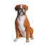Statue de chien boxer assis