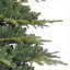 Gille 7.5' Lighted Artificial Fir Christmas Tree
