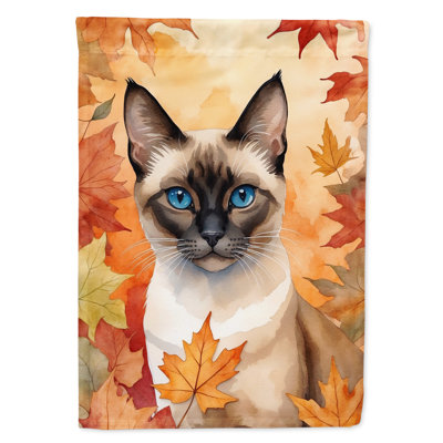 Chat en feuilles d'automne