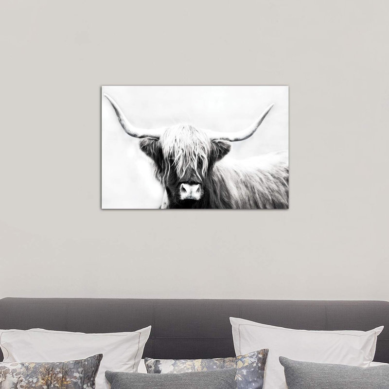 «Highland Longhorn», reproduction de photo encadrée, H 18 po x l 26 po x P 1,5 po, Toile tendue