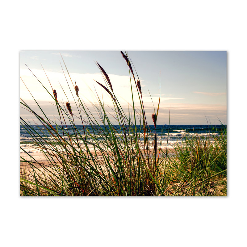 Coastal Dunes - Wrapped Canvas Print