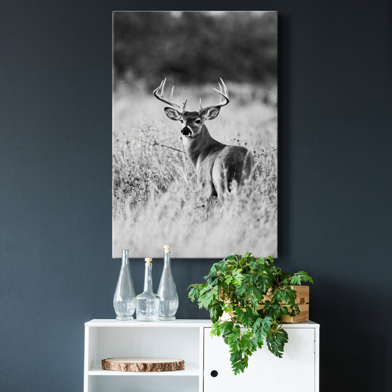 Grasslands - reproduction de photo, H 48 po x l 32 po x P 1 po, Toile tendue, Pas de tapis