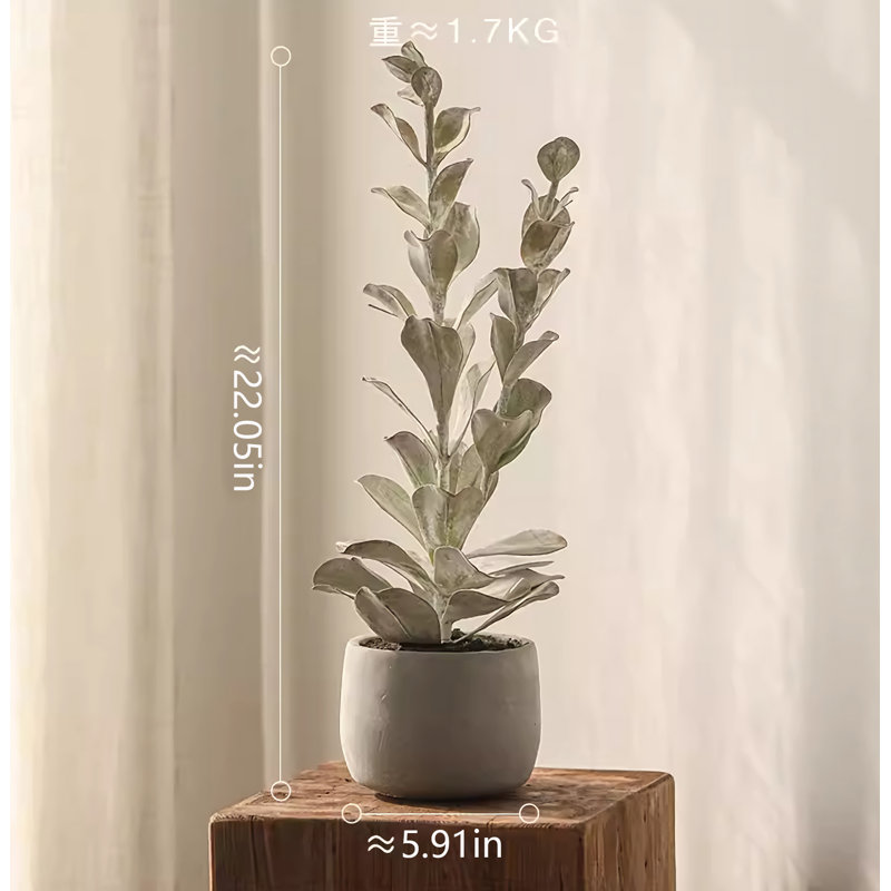 22,05 po Faux sapin