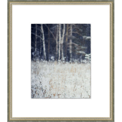 It's Only Flurries 2 Print