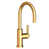 Polished Gold (PVD)