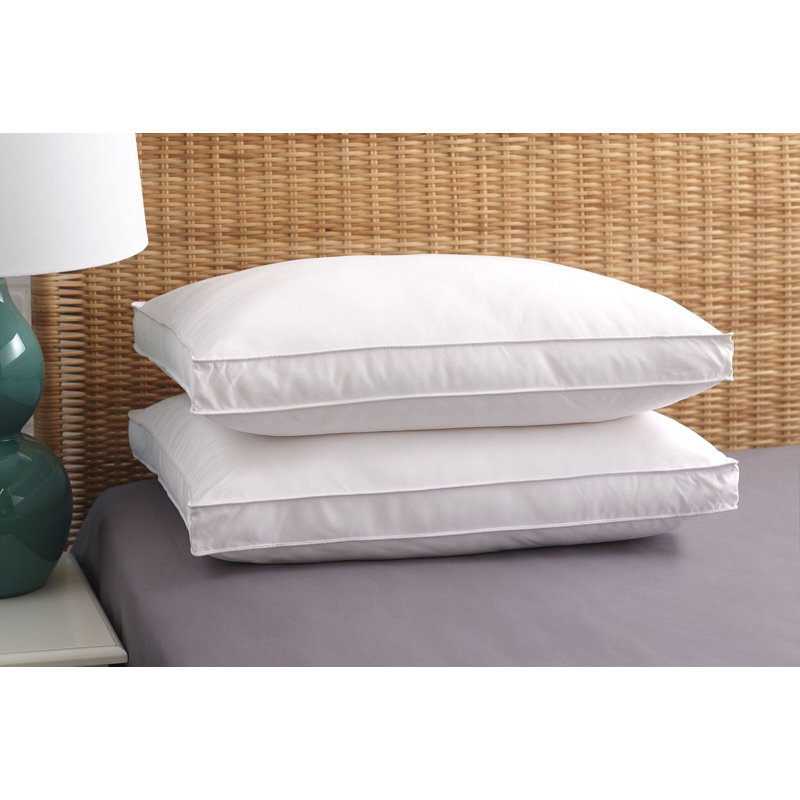 Aylin Down Alternative Plush Pillow, King