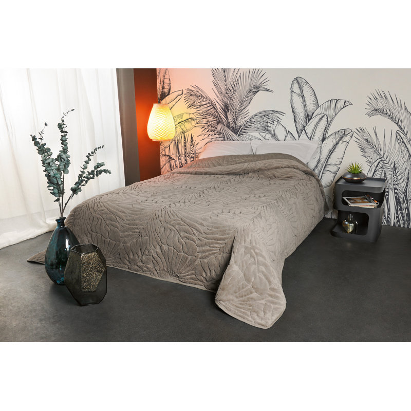 Bay Isle Home Volga Bedspread, Beige