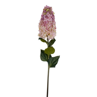 Hydrangea Stem