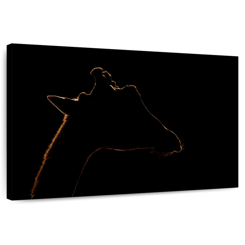 Brampt Giraffe Silhouette, 16" H x 24" W