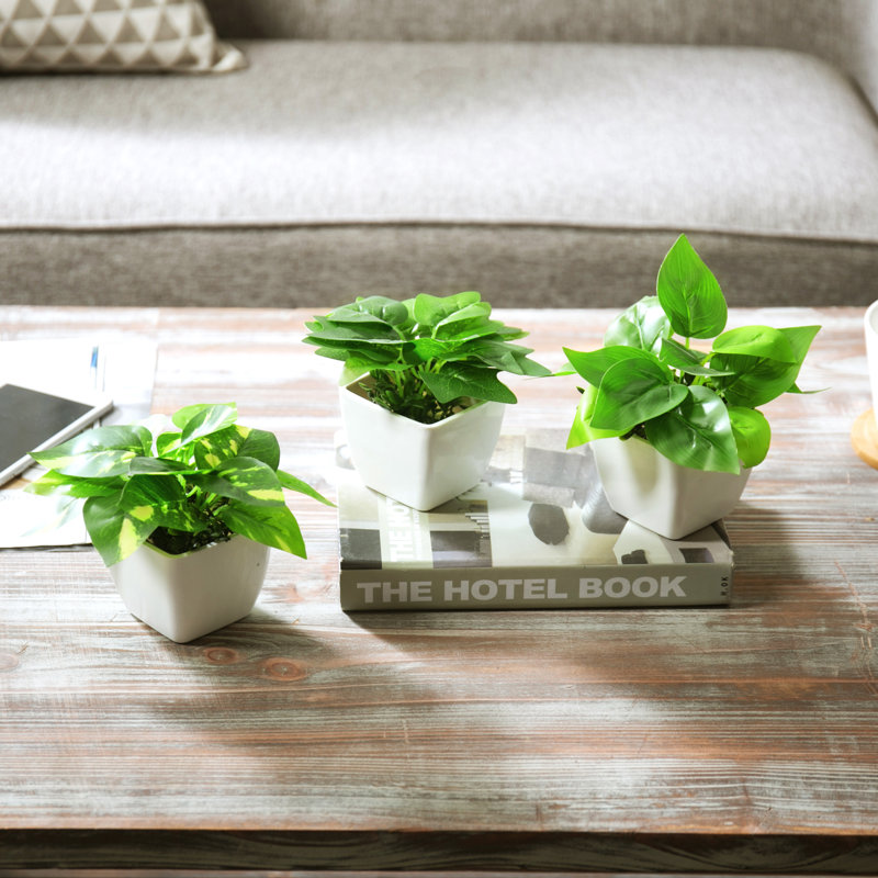 10.4cm Faux Foliage Plant in Pot
