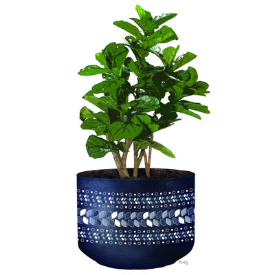 Figuier bleu en pot - reproduction sur toile tendue