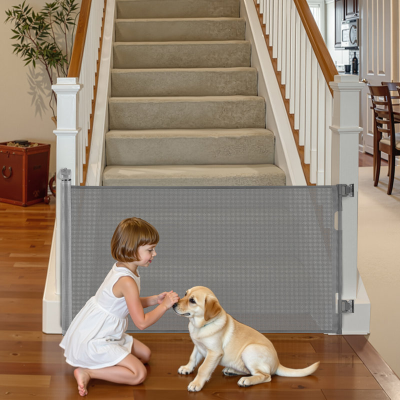 Barrière pour chien rétractable, Gris, H 34,2 po x l 77,9 po x P 2,4 po