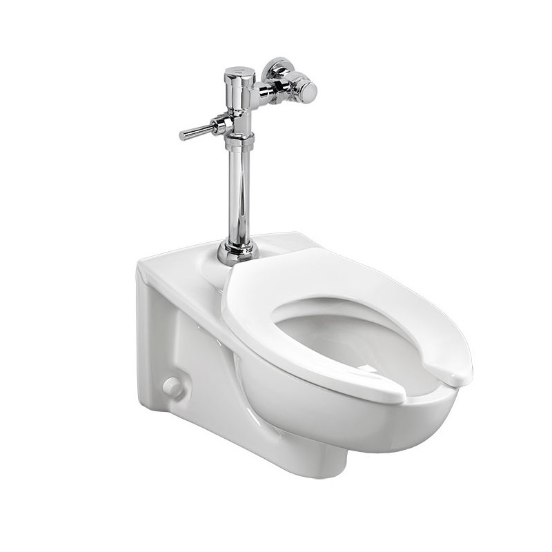 Afwall Elongated Wall Mounted with Self-Cleaning Power (Seat Not Included)